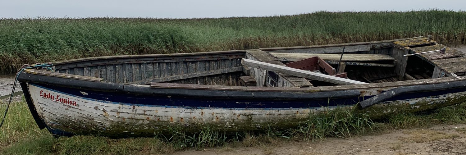 Delia Sharrock Clarke GPN RN banner