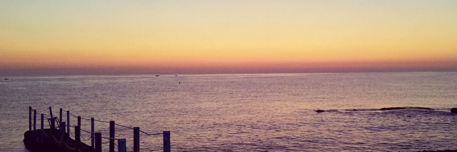 dodovitu's profile banner image