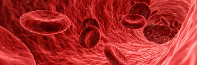 Marshall Mazepa banner