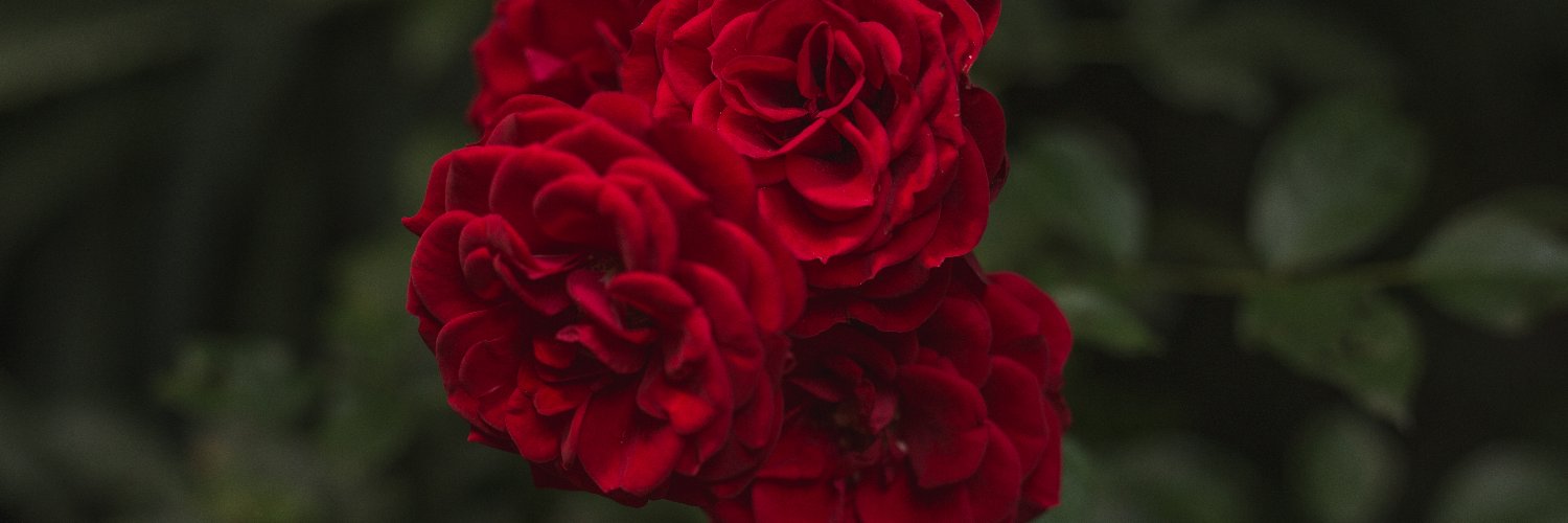 ADELA_7's profile banner image