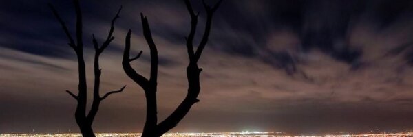 Red_Lofty Profile Banner