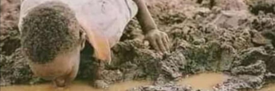 Mpangazitha, Pr Eng banner