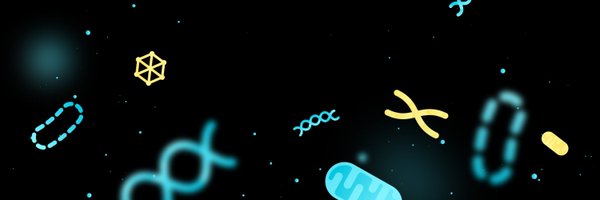 stefano_xyz Profile Banner
