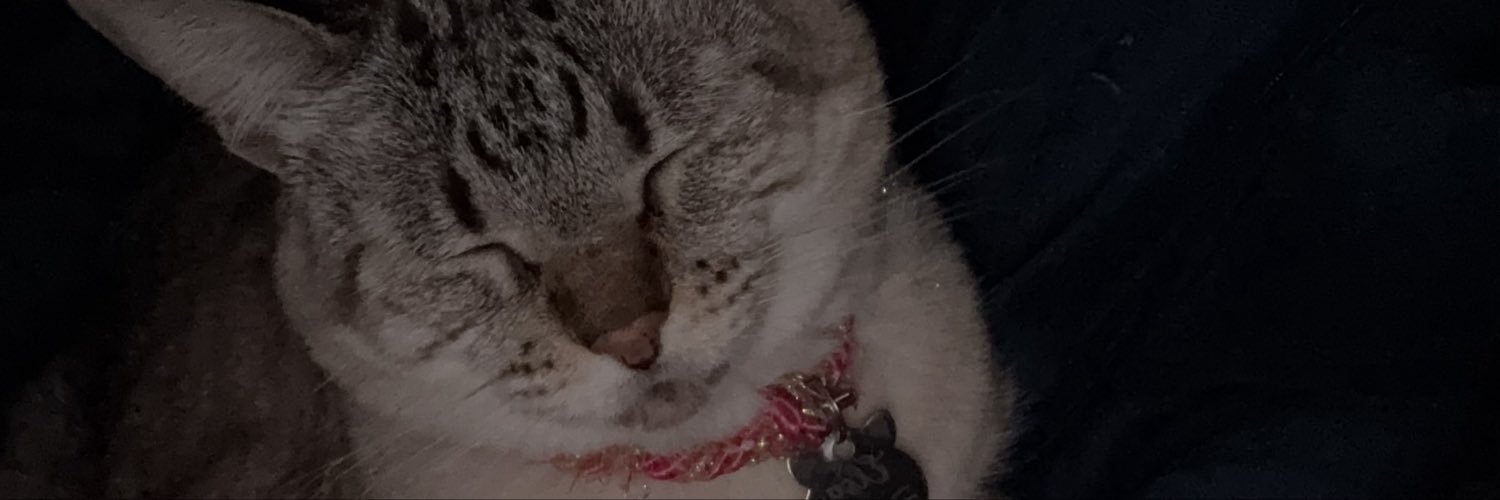 anny_ceia's profile banner image
