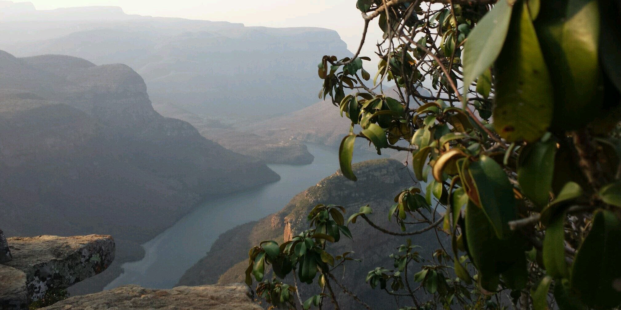 ampenedo's profile banner image