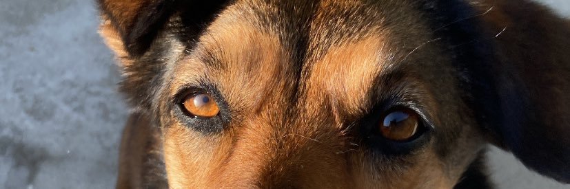 amanda 🧙‍♀️ banner