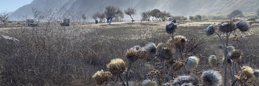 DorisMoraF's profile banner image
