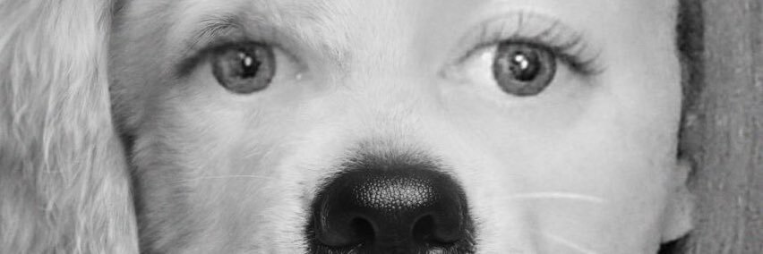 rileyred's profile banner image