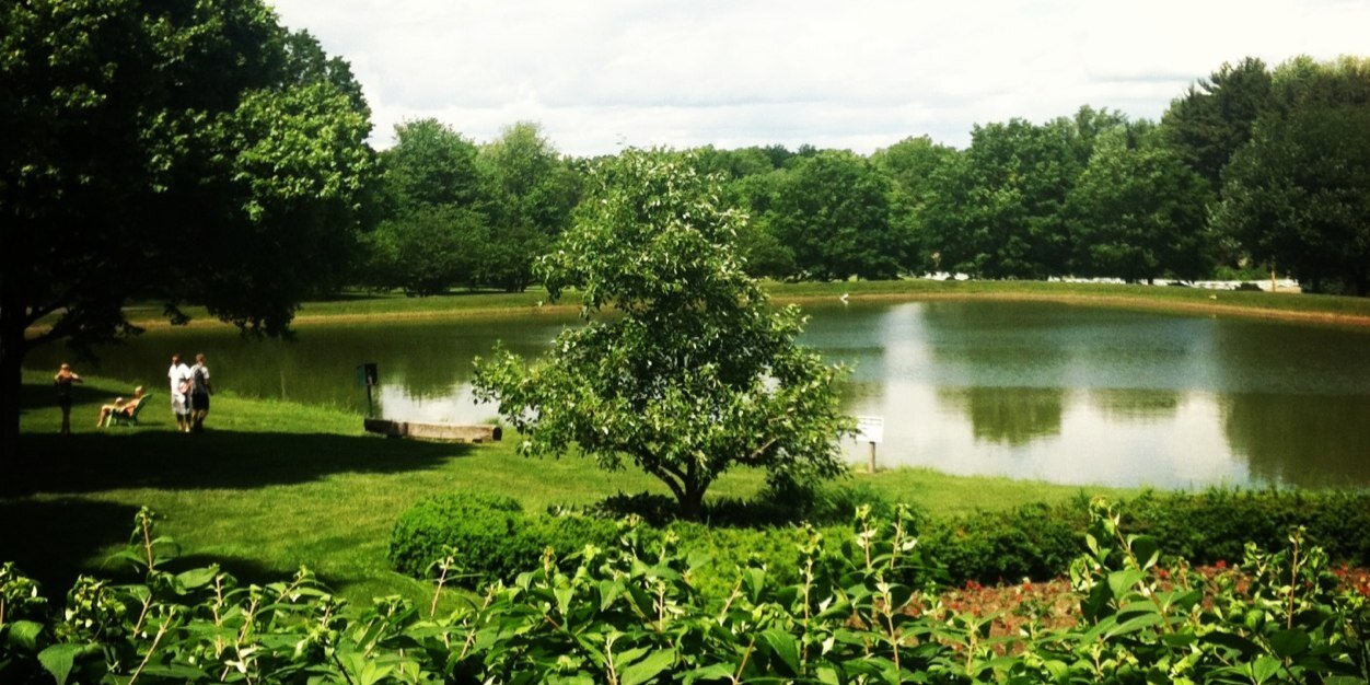liz_dellinger's profile banner image