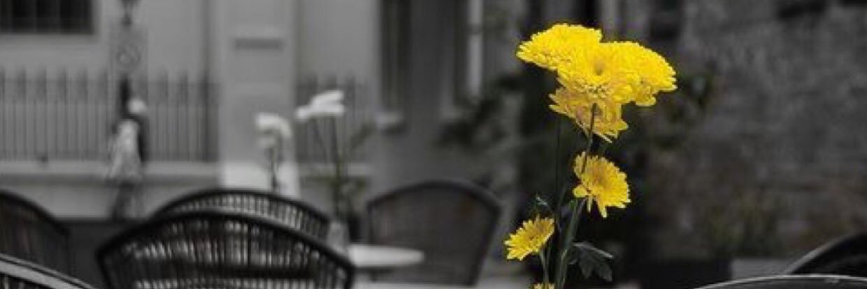 Elhmooo__344's profile banner image