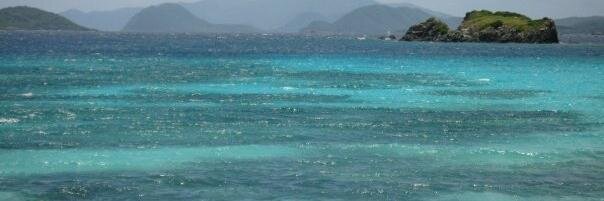 Sarah F. Hoffman banner