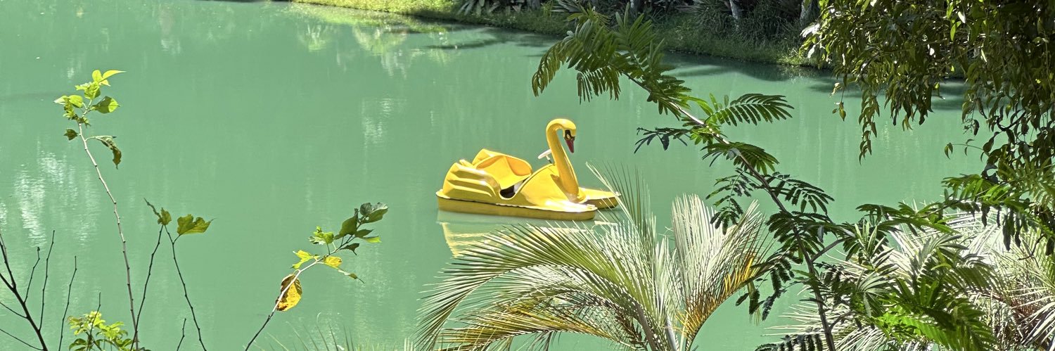 Felipe Dantas banner