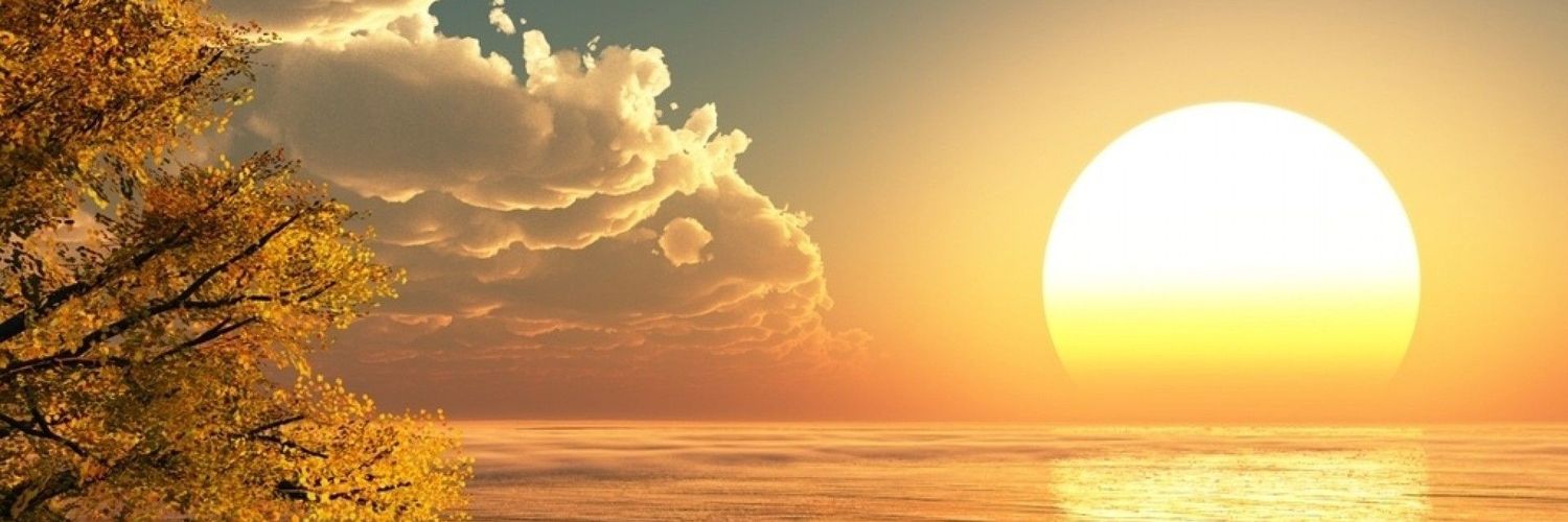 _dilipgupta_'s profile banner image