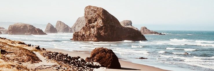 haley_simp's profile banner image