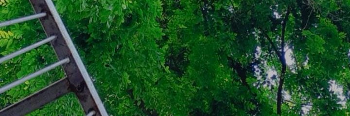 Yundeng27's profile banner image