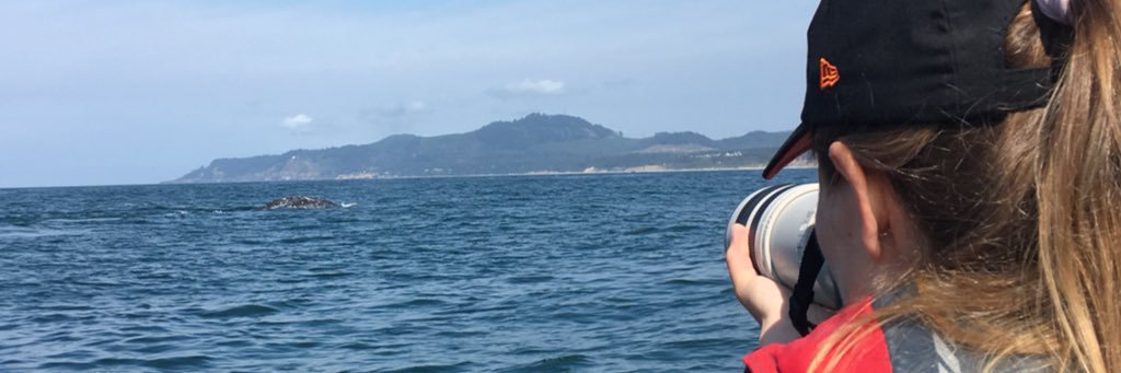 leila_lemos's profile banner image