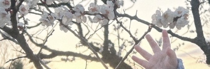 かばみちゃん 🦕6m ˎˊ˗ banner