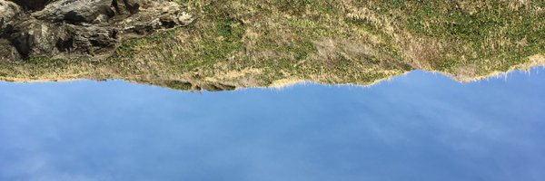 wassyar Profile Banner