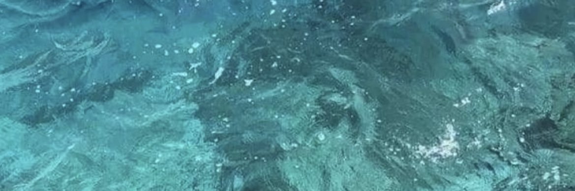kholoudayman13's profile banner image