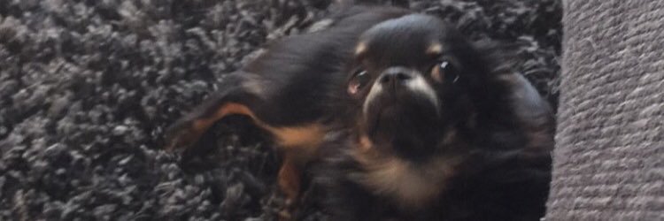 Rodor_Pill's profile banner image