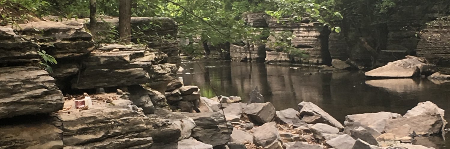 Kaleideleary's profile banner image