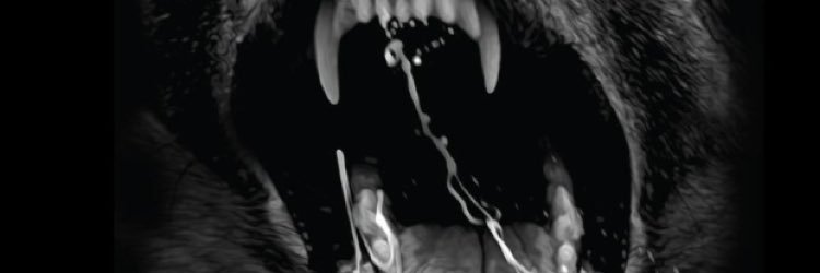 Bair864's profile banner image