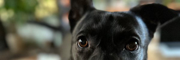 jessemaurica Profile Banner