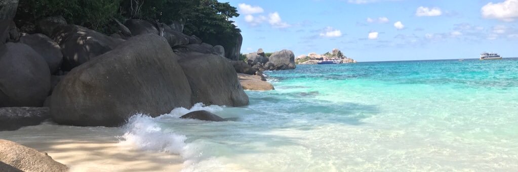 evieelomas's profile banner image