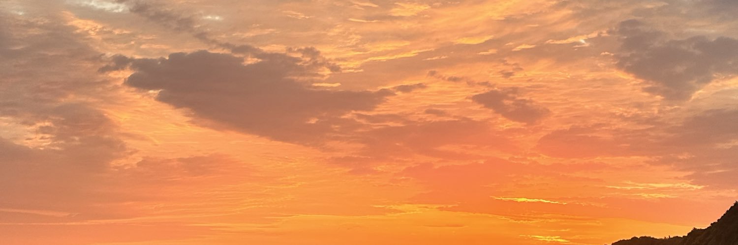 lissethzu's profile banner image