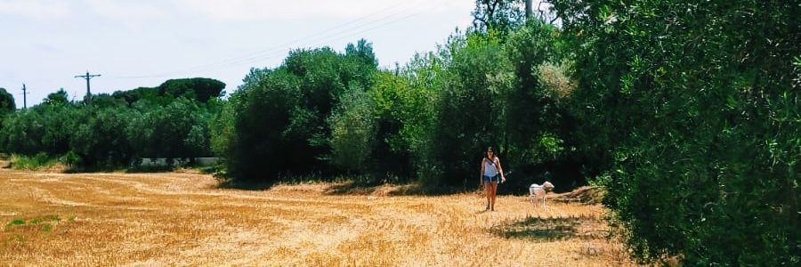 MireiaCS's profile banner image