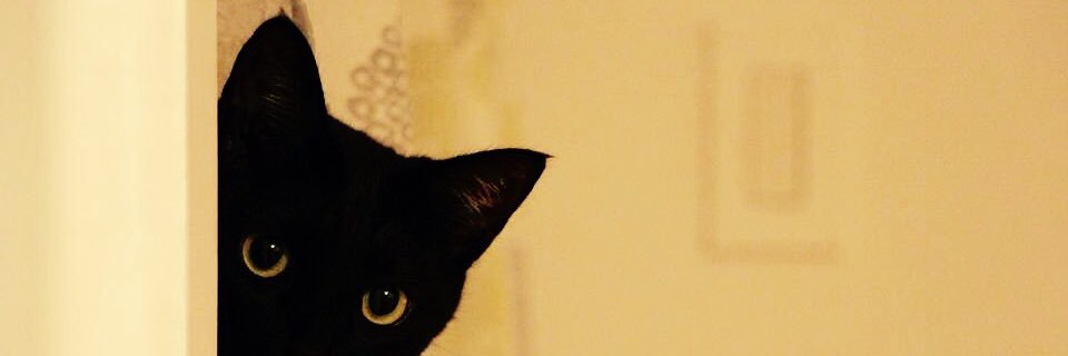 aaa_sayan's profile banner image