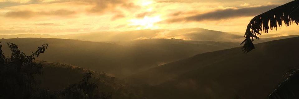 hsiqueira's profile banner image