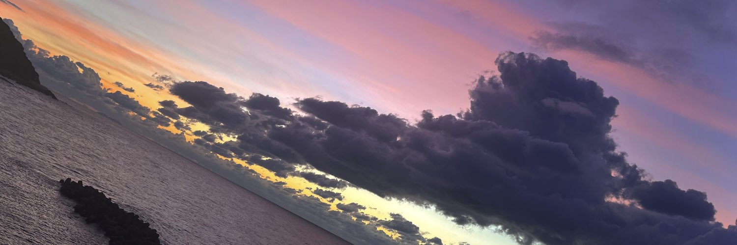 ___sydy's profile banner image