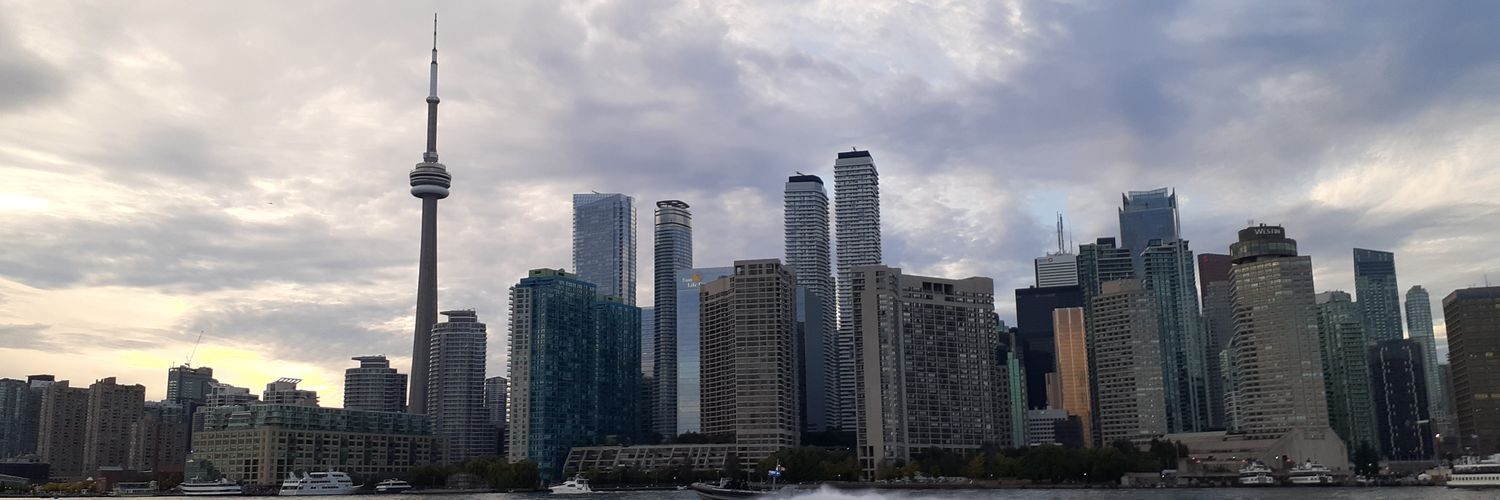 thelitvic's profile banner image