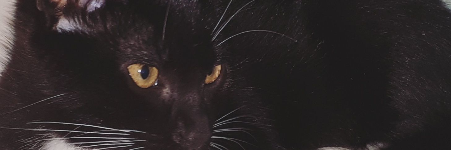 Sandoval9821's profile banner image