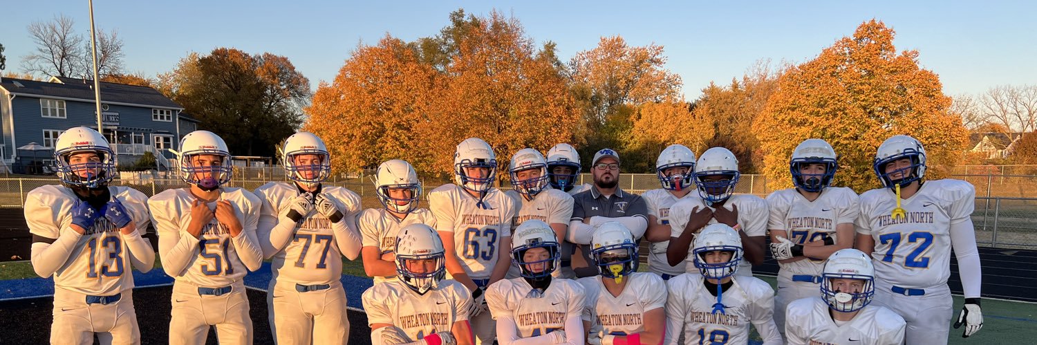 Anthony Bellini banner