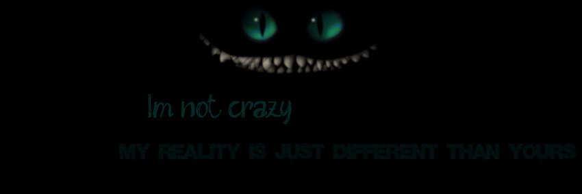 yoan_fay's profile banner image