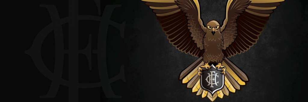 Daniel Shandler banner