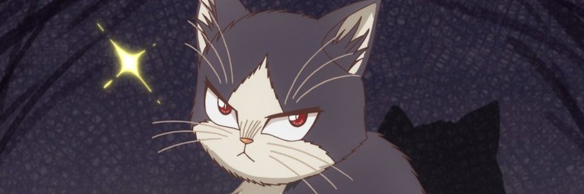 sutecat19's profile banner image