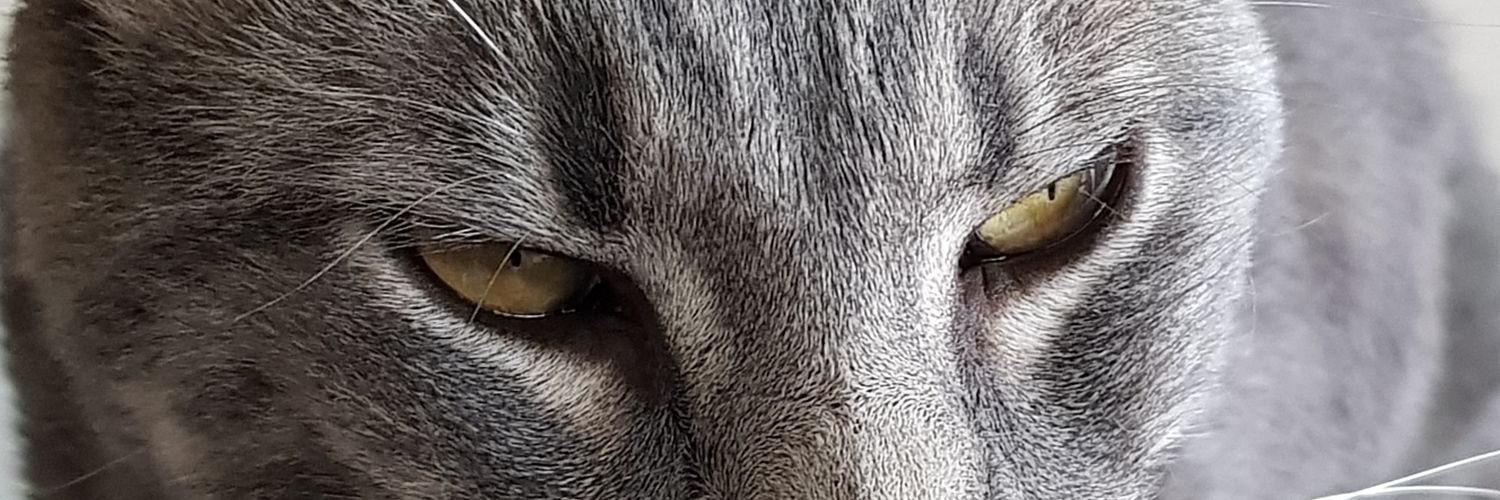 fabirmr's profile banner image