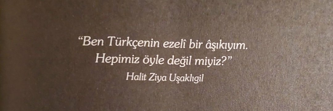 cannssusu's profile banner image