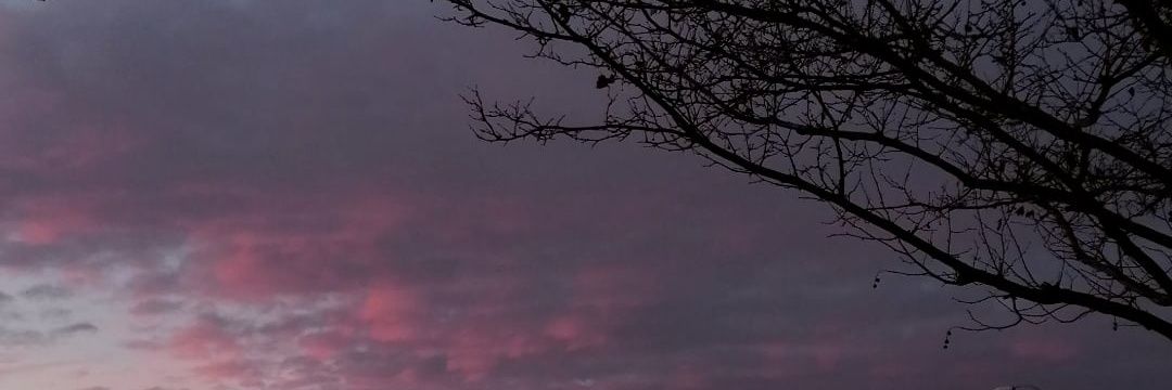 bvh_29's profile banner image