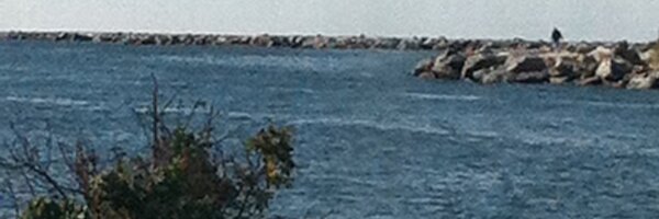 anncroft Profile Banner