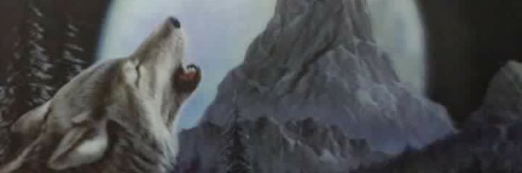 UmutSatlmaz's profile banner image