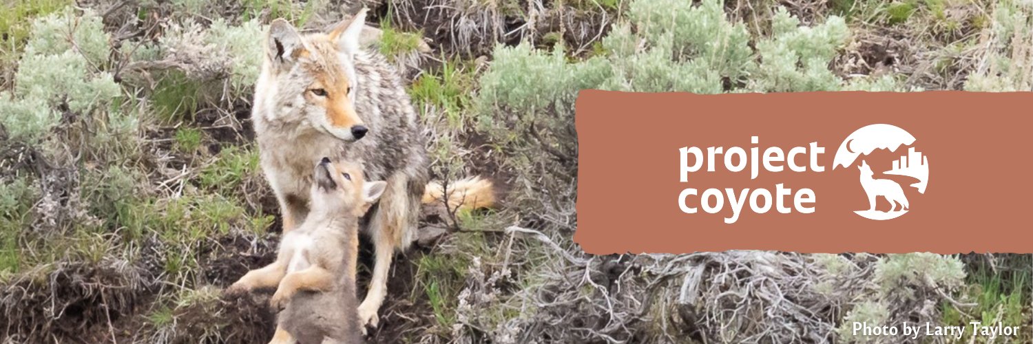 Project Coyote banner