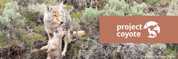 ProjectCoyote Profile Banner