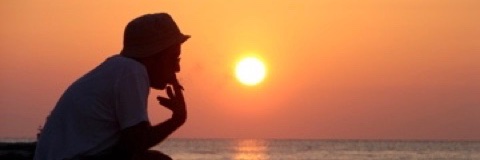 Mauro 🌎🐶 ⭐️⭐️⭐️ banner