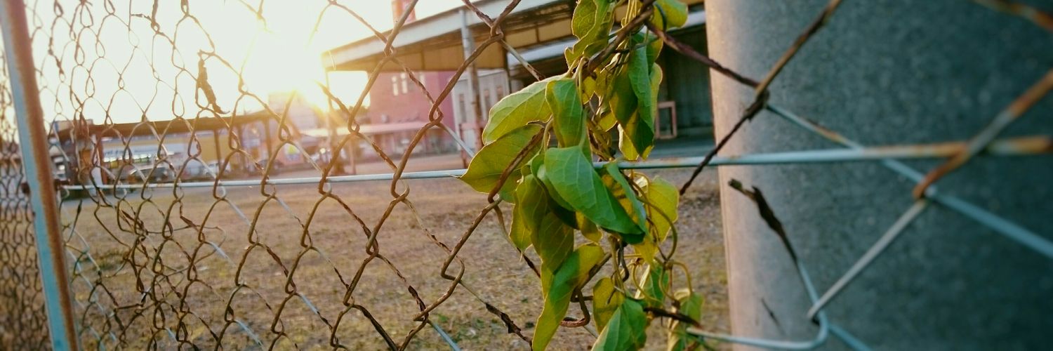 ___ura_24's profile banner image