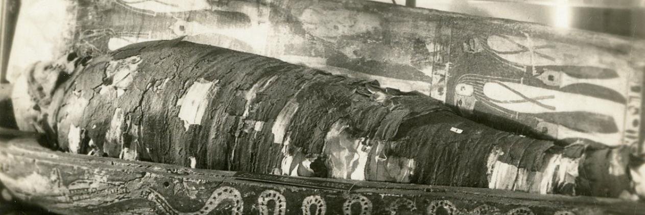 KVMMUMMY's profile banner image