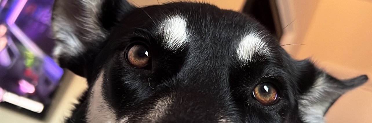 dbooy banner